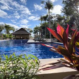 Foto de departamento en renta en  , vela mar, solidaridad, quintana roo, 0 No. 01