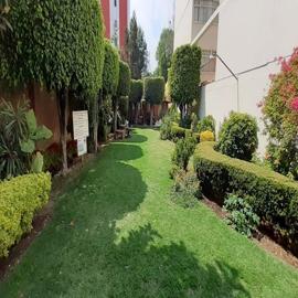 Foto de Departamento en Xicoténcatl None, Del Carmen, Coyoacán, DF / CDMX, 29552173