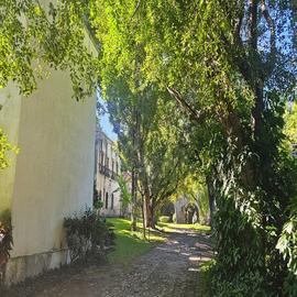 Foto de casa en venta en yautepec , residencial yautepec, yautepec, morelos, 0 No. 01