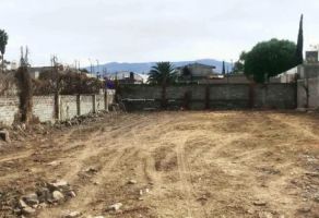 Foto de terreno habitacional en venta en Ensenada Centro, Ensenada, Baja California, 25305233,  no 01
