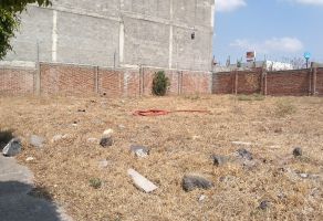 Foto de terreno habitacional en venta en Cañada del Refugio, León, Guanajuato, 24953066,  no 01
