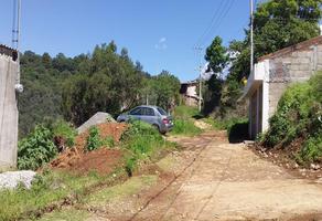 Foto de terreno habitacional en venta en 15 , lomas de zompantle, cuernavaca, morelos, 0 No. 01