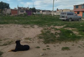 Foto de terreno habitacional en venta en Olmos, Tizayuca, Hidalgo, 25361222,  no 01