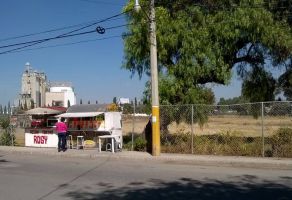 Citas solo padre en Texcoco