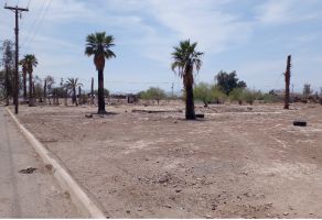 Foto de terreno comercial en venta en Desarrollo Urbano Ex Ejido Orizaba, Mexicali, Baja California, 24845054,  no 01
