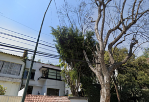 Foto de inmueble en Tennyson, Col. Polanco IV Sección C.P. 11550, Miguel Hidalgo