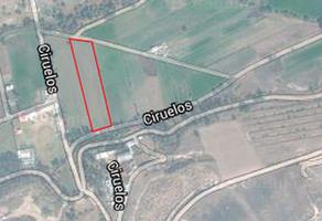 Foto de terreno industrial en venta en 33 , ejido santiago cuautlalpan, cuautitlán izcalli, méxico, 25197003 No. 01