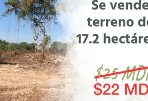 Foto de terreno comercial en venta en Solidaridad, Solidaridad, Quintana Roo, 25392327,  no 01
