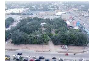 Foto de terreno habitacional en venta en Arenal, Tampico, Tamaulipas, 25247822,  no 01