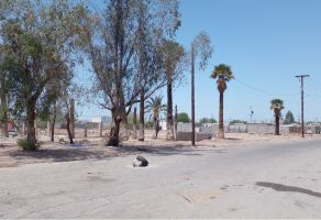 Foto de terreno comercial en venta en Mayos, Mexicali, Baja California, 25345066,  no 01
