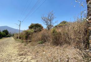 Foto de terreno habitacional en venta en Huertas Agua Azul, Morelia, Michoacán de Ocampo, 25127293,  no 01