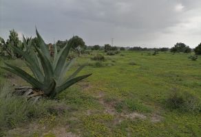 Foto de terreno comercial en venta en Huitzila, Tizayuca, Hidalgo, 21596433,  no 01