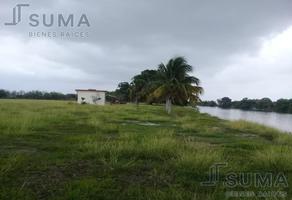 Foto de terreno habitacional en venta en  , altamira, altamira, tamaulipas, 18509241 No. 01