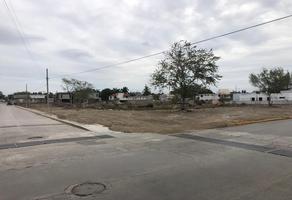 Foto de terreno habitacional en venta en  , altamira centro, altamira, tamaulipas, 23361881 No. 01