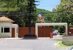Renta Casas Plaza Patria Guadalajara Casas En Renta En Guadalajara Mitula Casas