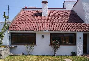 Casas Economicas En Renta En Toluca De Lerdo