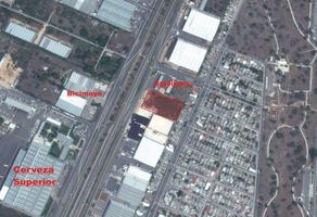 Foto de terreno comercial en renta en  , ampliación juan pablo ii, mérida, yucatán, 14613966 No. 01