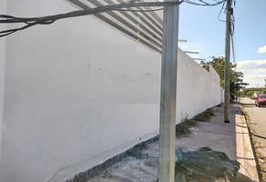 Foto de terreno comercial en renta en  , ampliación pedregales de lindavista, mérida, yucatán, 23253929 No. 01