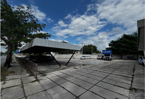 Foto de inmueble en AV. ITZES, Col. Itzaes C.P. 97068, Mérida