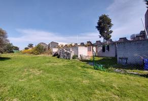 Foto de terreno habitacional en venta en avenida niños heroes , la conchita, chalco, méxico, 22536475 No. 01