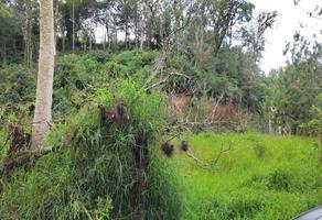 Foto de inmueble en  , Col. Banderilla Centro C.P. 91300, Banderilla