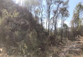Foto de terreno habitacional en venta en bosque san miguel almaya, estado de méxico , pedregal de guadalupe hidalgo, ocoyoacac, méxico, 0 No. 01