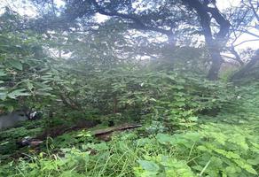 Foto de terreno habitacional en venta en bosques de granados , bosque de las lomas, miguel hidalgo, df / cdmx, 0 No. 01