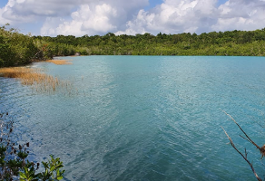 Inmuebles En Buenavista Bacalar Quintana Roo Propiedades Com