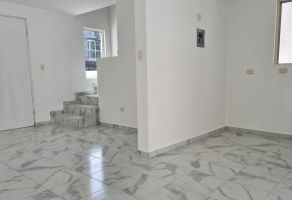 Ordenar Vivanza En Línea
