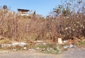 Foto de terreno habitacional en venta en La Guadalupana, Ecatepec de Morelos, México, 25021340,  no 01
