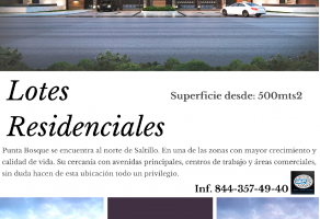 Foto de inmueble en Terrenos en Venta en RESIDENCIAL PUNTA BOSQUE, Col. Los González C.P. 25204, Saltillo