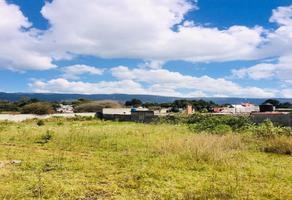 Foto de terreno habitacional en venta en calzada huitepec vista hermosa , lomas de huitepec, san cristóbal de las casas, chiapas, 0 No. 01