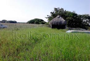 Foto de terreno habitacional en venta en camino a laguna , la mata, tuxpan, veracruz de ignacio de la llave, 1571692 No. 01