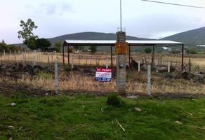 Foto de terreno industrial en venta en camino al platanal , canindo, jacona, michoacán de ocampo, 501253 No. 01