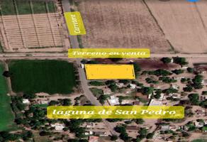Foto de terreno habitacional en venta en carretera a la cofradia , laguna de san pedro, navolato, sinaloa, 0 No. 01