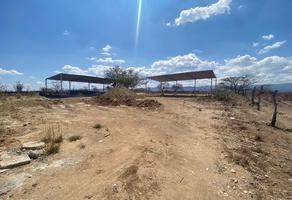 Foto de terreno comercial en venta en carretera al aeropuerto 120, francisco sarabia, chiapa de corzo, chiapas, 24676290 No. 01