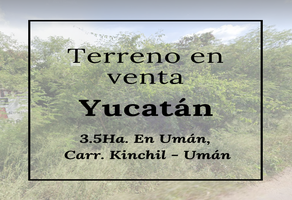 Foto de terreno habitacional en venta en carretera kinchil uman , uman, umán, yucatán, 0 No. 01