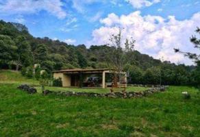 Foto de terreno habitacional en venta en carretera mexico toluca , san miguel ameyalco, lerma, méxico, 0 No. 01