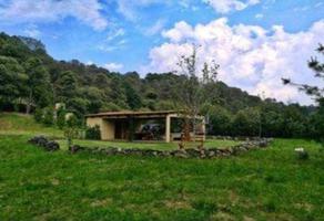 Foto de terreno habitacional en venta en carretera mexico-toluca , san miguel ameyalco, lerma, méxico, 24998193 No. 01