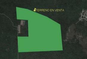 Foto de terreno habitacional en venta en  , caucel, mérida, yucatán, 0 No. 01