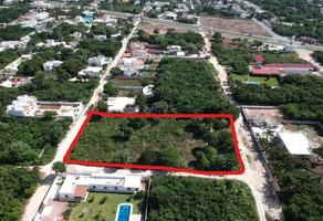 Foto de terreno habitacional en venta en ceiba, sm 313, manzana 256, l 1 0 , cancún centro, benito juárez, quintana roo, 0 No. 01