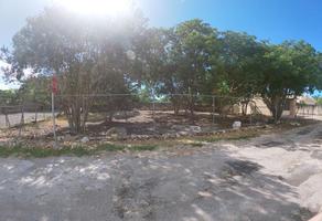 Foto de terreno comercial en renta en  , colonial chuburna, mérida, yucatán, 0 No. 01