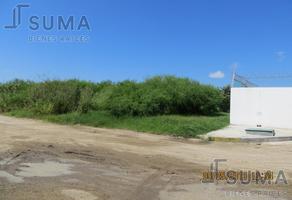 Foto de terreno habitacional en venta en  , comercial fimex, altamira, tamaulipas, 15544648 No. 01