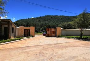 Foto de terreno habitacional en venta en corral de piedra , corral de piedra, san cristóbal de las casas, chiapas, 14015766 No. 01