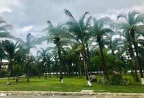Foto de terreno comercial en venta en costera las palmas acapulco 0, playa diamante, acapulco de juárez, guerrero, 23853828 No. 01