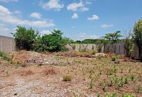 Foto de terreno habitacional en venta en cuchilla santa roda , san josé terán, tuxtla gutiérrez, chiapas, 0 No. 01