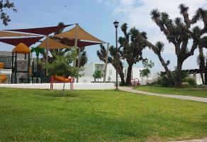 Renta Casa Con Alberca En Monterrey Y Zona Metro Vivanuncios Casas Y Departamentos En Renta