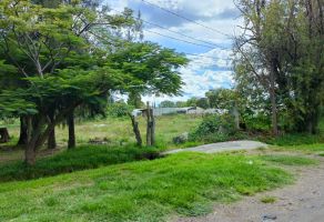 Foto de terreno habitacional en venta en Cabrera, Atlixco, Puebla, 25406493,  no 01