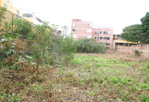 Foto de inmueble en Rancho Camichines #1Int. 1, Col. Nueva Oriental Coapa C.P. 14300, Tlalpan