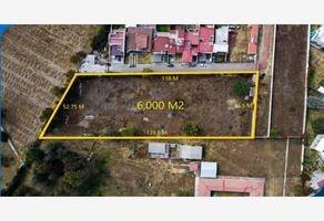 Foto de terreno habitacional en venta en diagonal 109 oriente 109, arboledas de xilotzingo, puebla, puebla, 0 No. 01